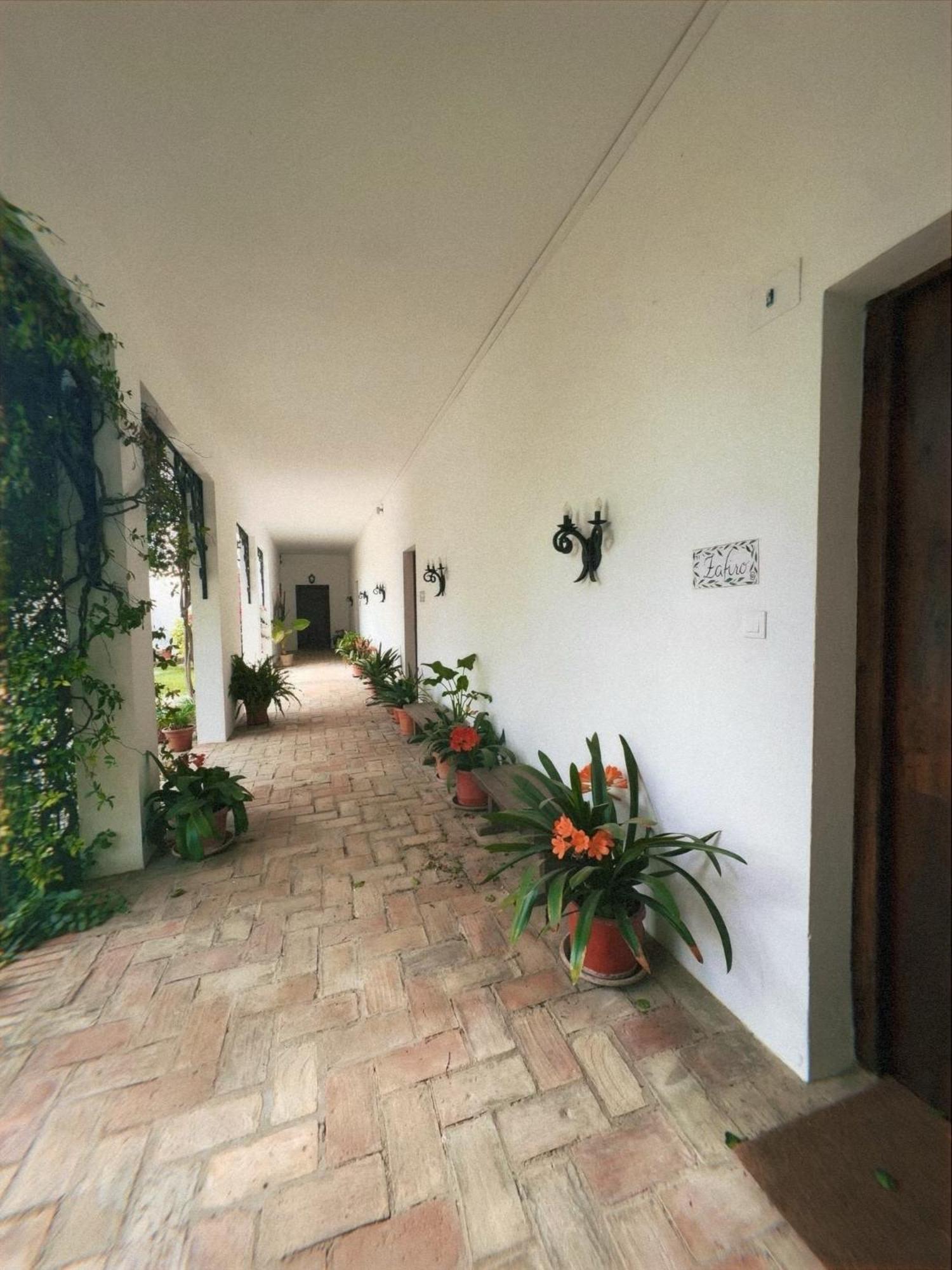 Cortijo De Guerra Guest House Puerto Real Luaran gambar