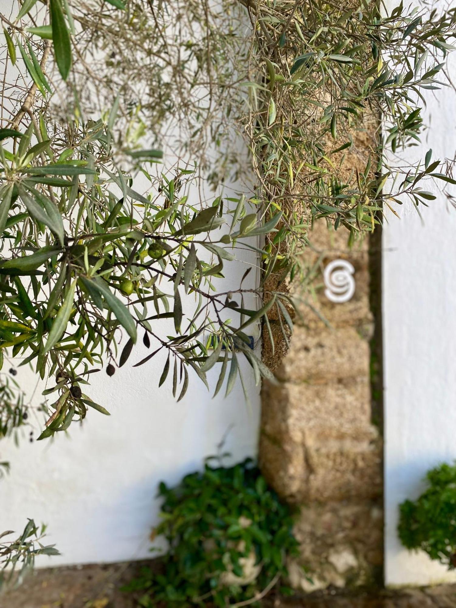 Cortijo De Guerra Guest House Puerto Real Luaran gambar